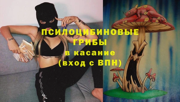 ешки Абинск